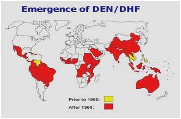 Global Epidemiology Of Dengue Hemorrhagic Fever An Update Medcrave