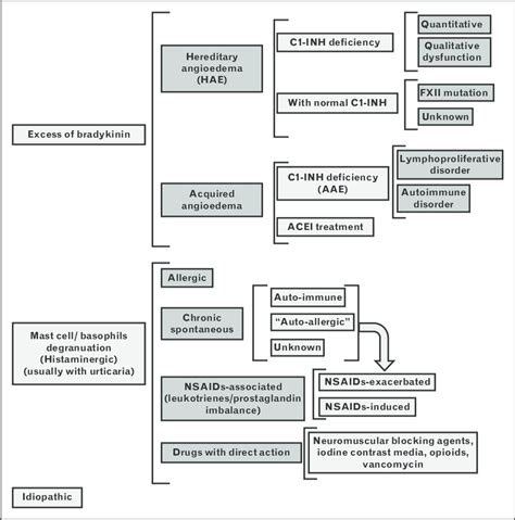 Classification of angioedema by endotypes. Adapted with permission [19... | Download Scientific ...