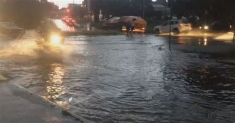 G1 Chuva Em São Carlos E Araraquara Derruba árvores E Causa