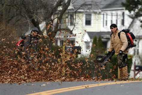 Greenwich Bans Leaf Blowers For Part Of Year Sets New Noise Ordinance