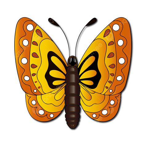 Ilustración De Mariposa Vector Png Mariposa Ilustración De Mariposa Hermosa Mariposa Png Y