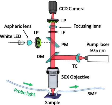 Schematic Of The Experimental Set Up LP Linear Polarizer DM