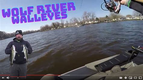 Wolf River Walleyes Pre Spawn Walleyes Wisconsin Youtube