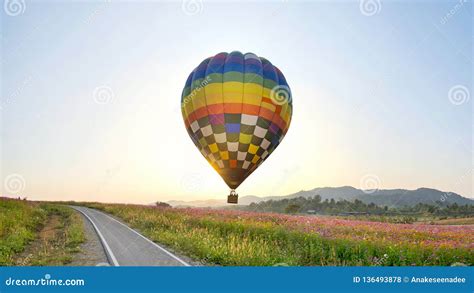 Ballon Flying On Field Stock Photo Image Of Fresh Adventure