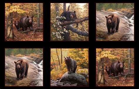 100 Quality Cotton Quilting Fabric North American Wildlife American Black Bear Scenic Pictures