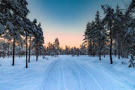 Invierno Carretera Bosque Nieve Rboles Puesta De Sol Noruega