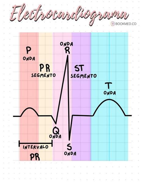 Electrocardiograma Enfermería Udocz