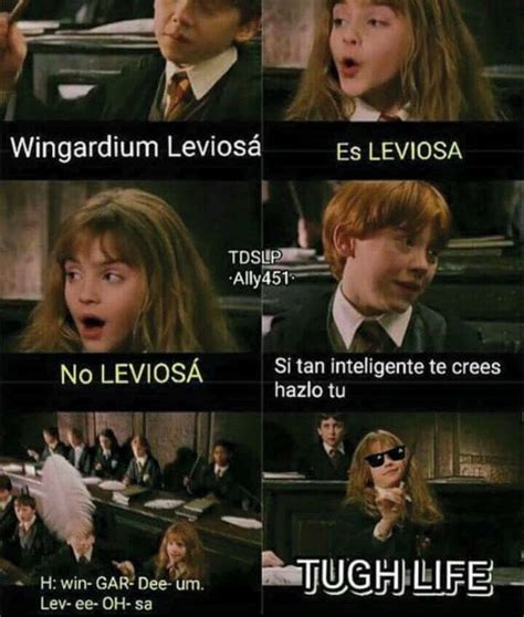 Harry Potter Memes Libros De Harry Potter Actores De Harry Potter