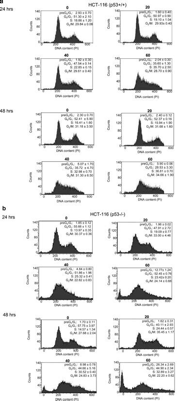 Effect Of Gt On Cell Cycle Progression Of Hct Colon Cancer Cells