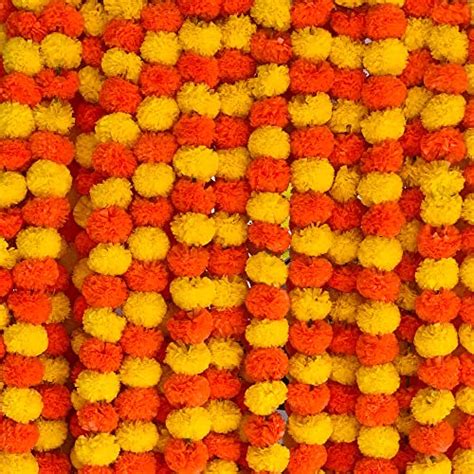 Marigold Flower In Spanish Names Description Symbolism And Uses Fluentvista