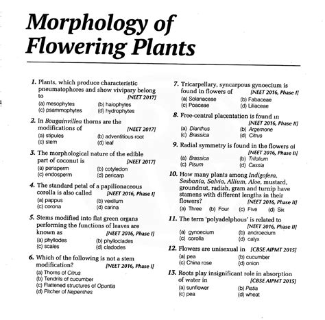 Solution Pyq Of Morphology Of Flowering Plants For Neet Studypool