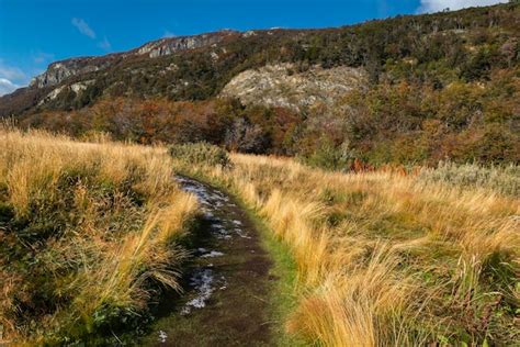 Parque Nacional Tierra Del Fuego Ushuaia Argentina Foto Premium