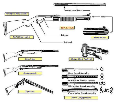 Single Shot Shotgun Parts Diagram