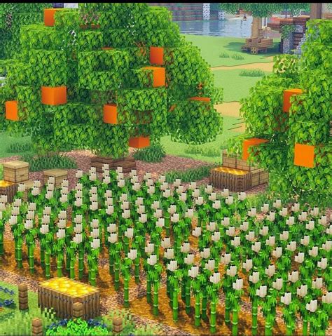 Minecraft Garden with Carrots