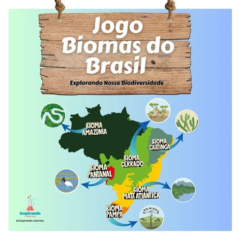 Jogo Biomas Do Brasil Explorando Nossa Biodiversidade