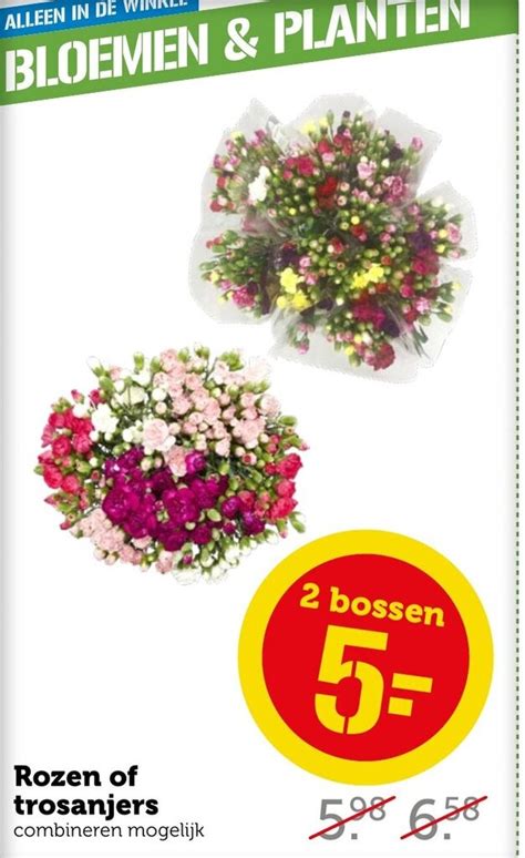 Rozen Of Trosanjers Aanbieding Bij Coop