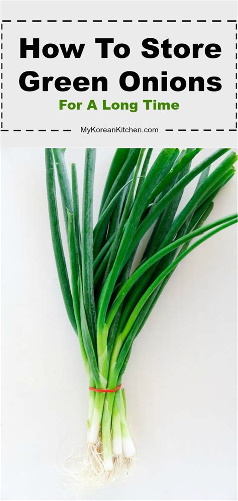 How To Store Green Onions Scallions Artofit