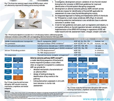 Overview Of Adverse Outcome Pathway Aop Concept Download Scientific