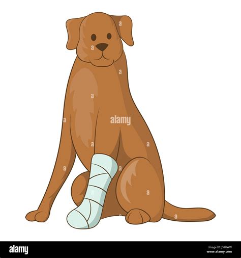 Injured Dog Paw Stock Vector Images Alamy