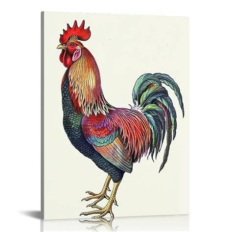 Nawypu Vintage Chicken Art Prints Pictures Of Roosters Decorations