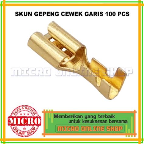 Jual Skun Gepeng Cewek Garis 100 PCS Soket Kabel Motor Mobil Sekun