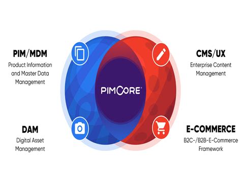 Support With Pimcore And Akeneo Setup Upwork