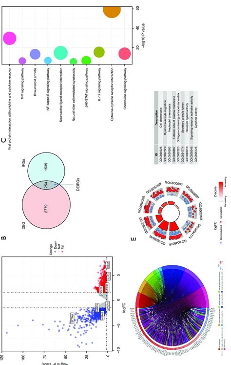 Expression Of Degs And Function Enrichment Of Deirgs A Volcano Plot