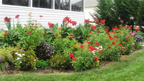 My Flower Garden End Of Summer Blooms