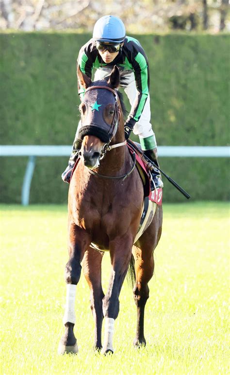 【岩田康誠の熱血！！競馬道】カツジ 距離延長で新味引き出す スポーツ報知