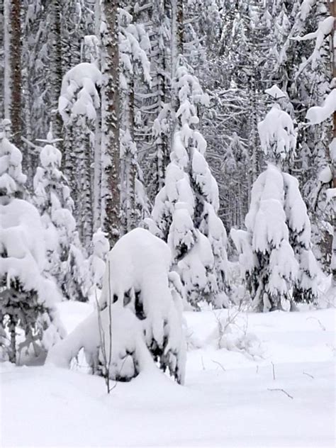 Les Fourgs Le Toit Du Haut Doubs Quand La Neige Fait Le Bonheur Des