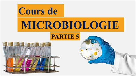 cours de microbiologie partie 5 la taxonomie bactérienne