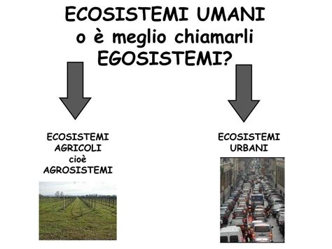 Ppt Ecosistemi Naturali Contro Ecosistemi Umani Powerpoint