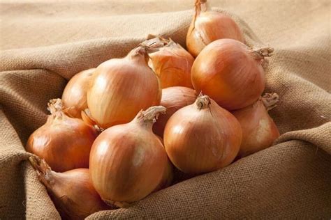 1 Kg Onion In Pakistan Red Yellow White Low Calorie Amount Rich