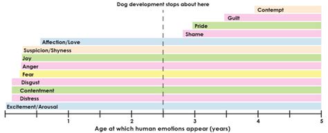 Do dogs have the same emotions people do? | Canadian Dogs