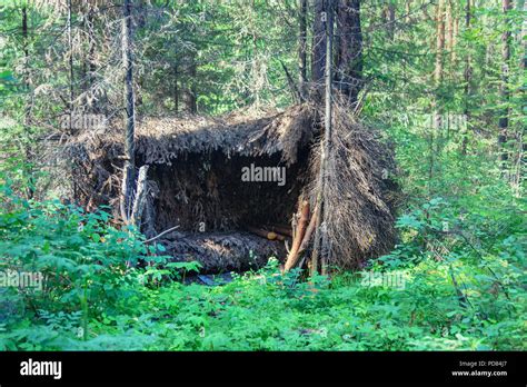 Survival Shelter High Resolution Stock Photography and Images - Alamy