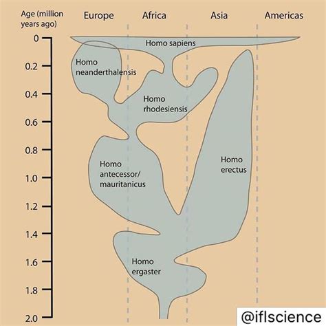 Timeline of Human Evolution and Migration