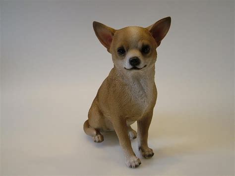 Beeldje Zittende Chihuahua Hond Bruin 22 5 Cm Bol