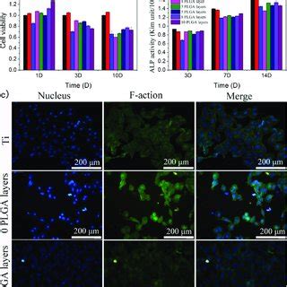 A Cell Viability Of MC3T3 E1 Pre Osteoblasts Cultured The Absorbance