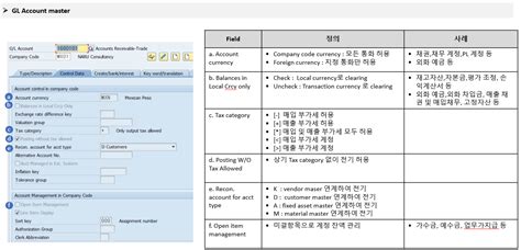 SAP 재무회계 모듈 소개 크몽