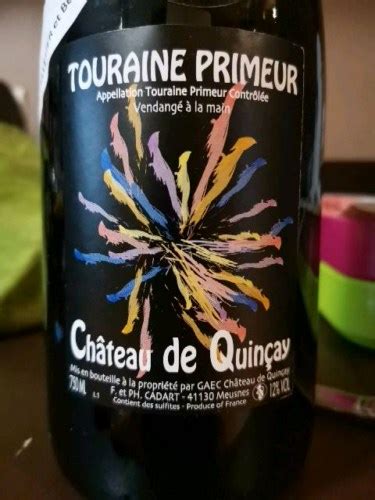 Ch Teau De Quin Ay Touraine Primeur Vivino Us