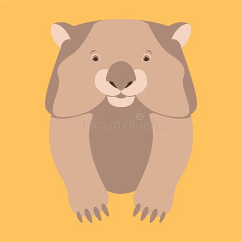 Wombat Head Stock Illustrations 100 Wombat Head Stock Illustrations