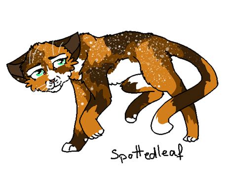 Day 10 Spottedleaf 100 Days Warrior Cat Challeng By Teloneg On Deviantart