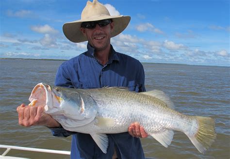 barramundi - Territory Guided Fishing