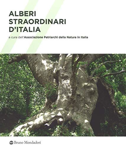 Alberi Straordinari D Italia Ediz Illustrata By Unknown Author