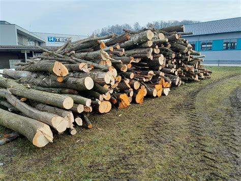 Brennholz Esche Pappel Sonstiges Holz Holzquelle