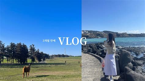 VLOG 엄마랑 제주도여행 곰막 해월정 흑돼지오마카세 히든클리프 페타치즈 바질파스타 동대문사입 시몬스