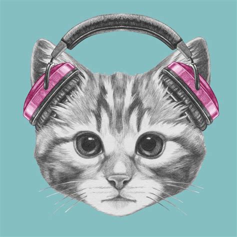 Retrato Del Gato Con Los Auriculares Stock De Ilustraci N Ilustraci N