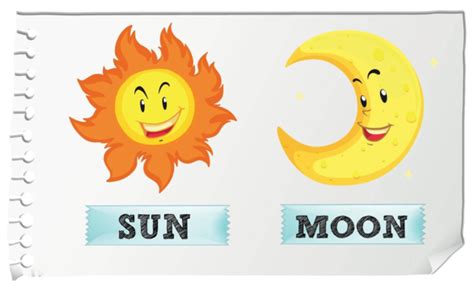 Sun And Moon With Happy Face Moon Isolated Educational Vector Moon