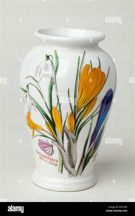 Portmeirion Botanic Garden Vase Stock Photo Alamy