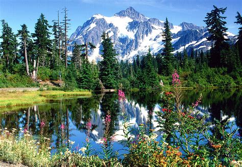 Seven mountain peaks you must admire in Washington state | HeraldNet.com